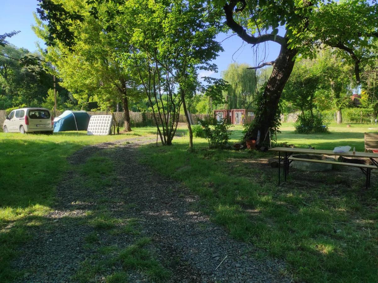 Vandorsolyom Camping Nagymaros